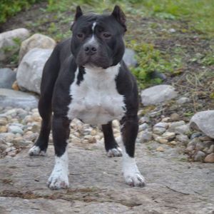 Meet your Posher, William